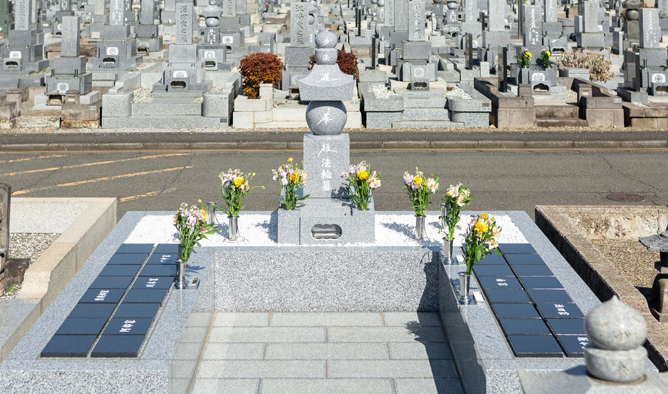 画像の説明文を入れます。